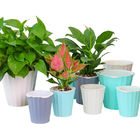 9.9x9.5 ซม. ตกแต่ง Bonsai Wick Self Watering Houseplant Pots